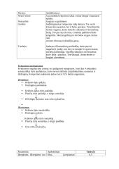 Kvėpavimas ir kvėpavimo procesas 4 puslapis