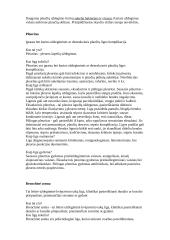 Kvėpavimas ir kvėpavimo procesas 6 puslapis