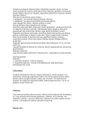 Kvėpavimas ir kvėpavimo procesas 7 puslapis