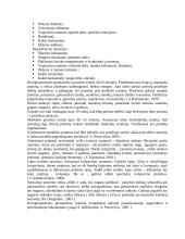 Laikysena 11 puslapis