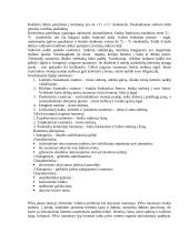 Laikysena 4 puslapis