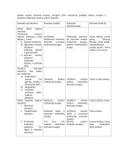 Laikysena 5 puslapis