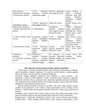 Laikysena 6 puslapis