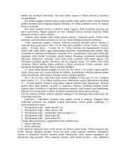 Laikysena 7 puslapis