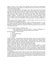 Laikysena 8 puslapis