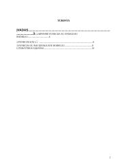 Laipsninės funkcijos 2 puslapis