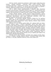 Lietuvos mokesčių sistema ir skirtingų mokesčių aprašymai 2 puslapis