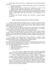 Lietuvos mokesčių sistema ir skirtingų mokesčių aprašymai 11 puslapis