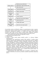 Lietuvos mokesčių sistema ir skirtingų mokesčių aprašymai 6 puslapis