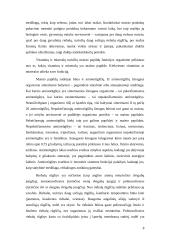 Maisto papildai ir jų reikšmė sveikatai 8 puslapis