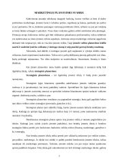 Marketingo strategija 2 puslapis