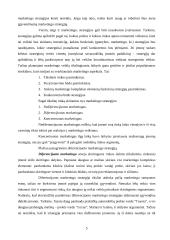 Marketingo strategija 4 puslapis