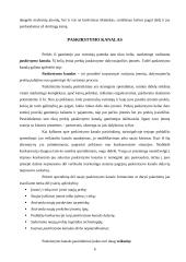 Marketingo strategija 5 puslapis