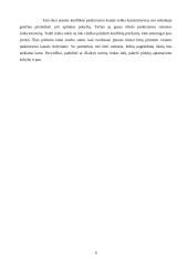 Marketingo strategija 8 puslapis