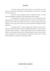 Marketingo strategija 9 puslapis