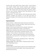 Modernizmas Europoje 2 puslapis