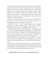 Modernizmas Europoje 8 puslapis