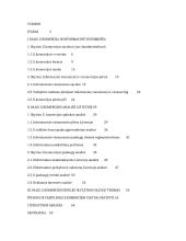 Elektroninės komercijos plėtra Lietuvoje