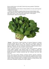 Natris ir jo reikšmė mūsų sveikatai 11 puslapis