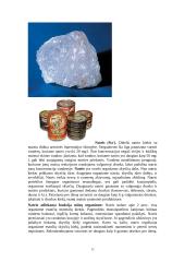 Natris ir jo reikšmė mūsų sveikatai 12 puslapis