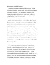 Euro atsiradimo priežastys ir pasekmės