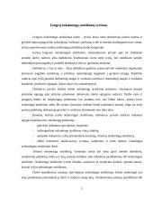 Nelaimingi atsitikimai darbe, jų prevencija 6 puslapis