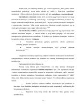 Organizacinių valdymo struktūrų pritaikymas dabarties verslo poreikiams 14 puslapis