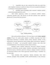 Organizacinių valdymo struktūrų pritaikymas dabarties verslo poreikiams 15 puslapis
