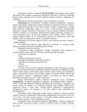Protokolinė raštvedyba 2 puslapis