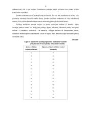 Rajono socialinio draudimo biudžeto sudarymas ir vykdymas 11 puslapis