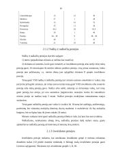 Rajono socialinio draudimo biudžeto sudarymas ir vykdymas 16 puslapis