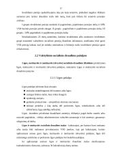 Rajono socialinio draudimo biudžeto sudarymas ir vykdymas 17 puslapis