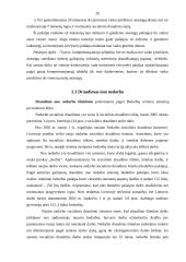 Rajono socialinio draudimo biudžeto sudarymas ir vykdymas 20 puslapis