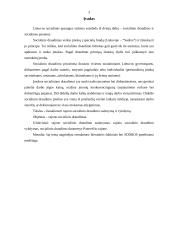 Rajono socialinio draudimo biudžeto sudarymas ir vykdymas 3 puslapis