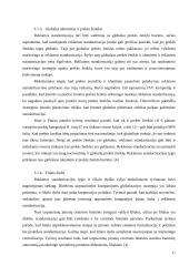 Reklamos užsienio rinkose standartizacijos/adaptacijos prielaidos 10 puslapis