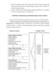 Reklamos užsienio rinkose standartizacijos/adaptacijos prielaidos 6 puslapis