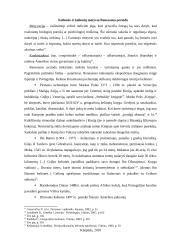 Rekreacijos ir kelionių raida renesanso laikotarpiu 7 puslapis