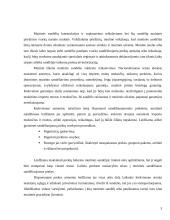 Sandėlių išdėstymo principai ir teisniai sandėliavimo pagrindai 3 puslapis