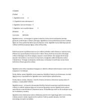 Įmonės ilgalaikis turtas