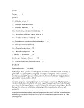 Infliacija ir jos priežastys referatas