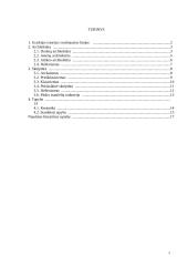 Senovės Graikijos menas 2 puslapis