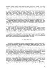 Senovės Graikijos menas 13 puslapis