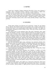 Senovės Graikijos menas 15 puslapis