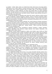 Senovės Graikijos menas 5 puslapis