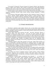 Senovės Graikijos menas 7 puslapis