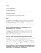 Informacinė visuomenė ir verslas