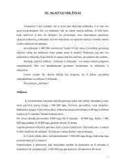 Skaičiai milžinai 5 puslapis