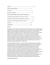 Investicinis projektas