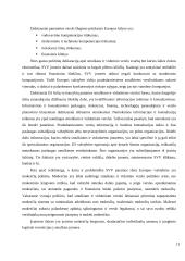 Smulkaus ir vidutinio verslo vaidmuo ekonomikoje 11 puslapis