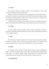 Smulkaus ir vidutinio verslo vaidmuo ekonomikoje 14 puslapis